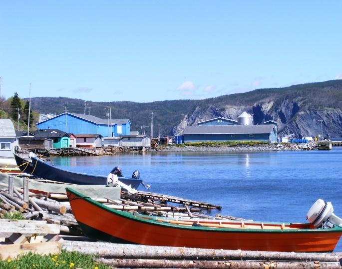 True North Tours