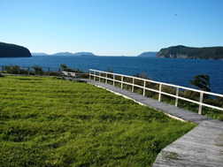 Cox's Cove